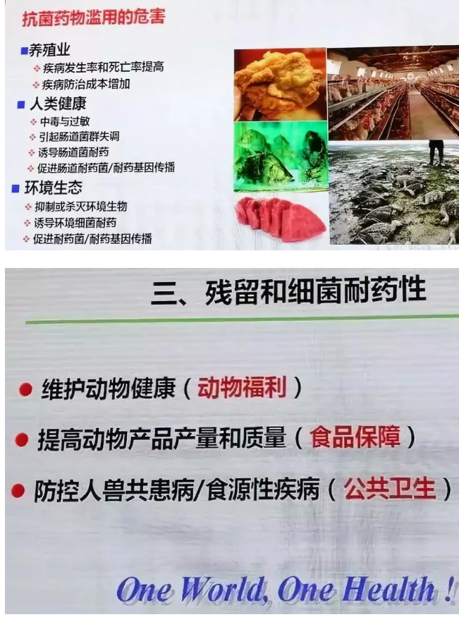 15308491043561.png image.png