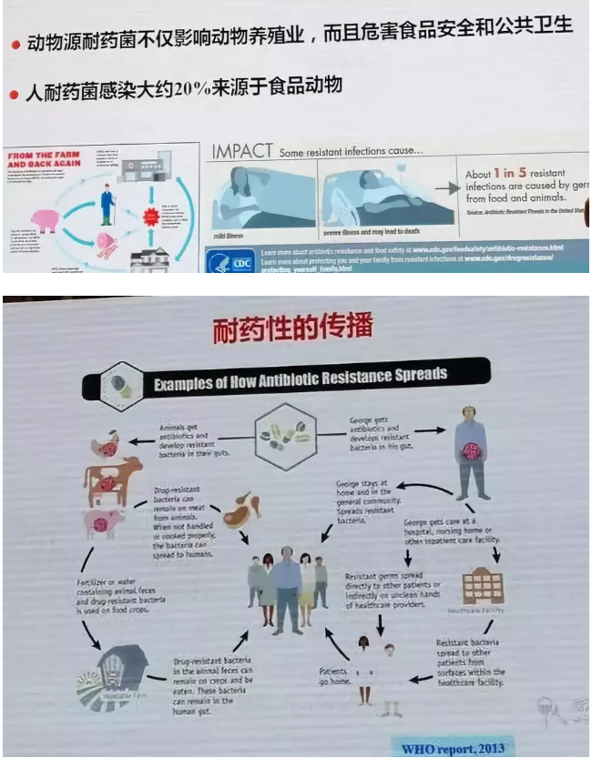 15308492764875.png image.png