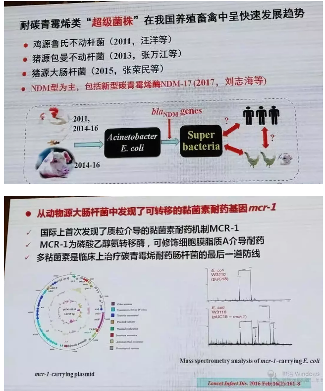 15308493306913.png image.png