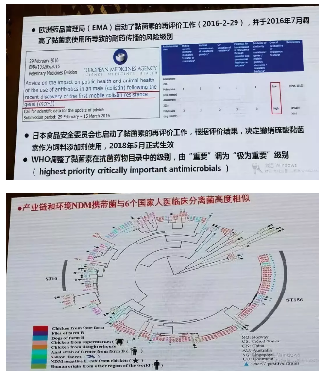 15308493624539.png image.png