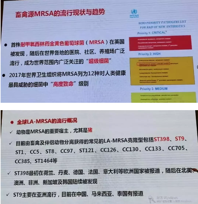 15308493831203.png image.png